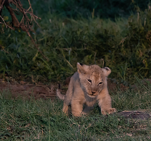 Kenya_Jul252019_6021