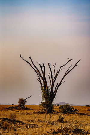 Kenya_Jul232019_2463