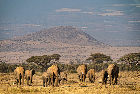 Kenya_Jul232019_1818