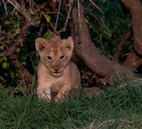 Kenya_Jul252019_6018