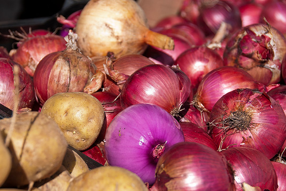 ImmigrantFoodTour_Oct192012_2593