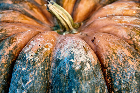 ImmigrantFoodTour_Oct192012_2598