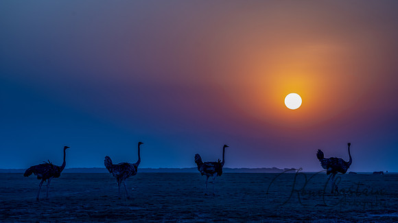 Kenya_Jul242019_6511