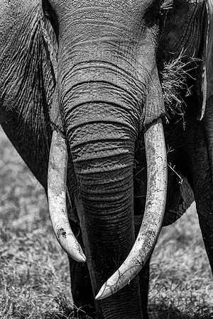Kenya_Jul242019_0902