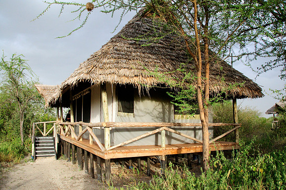 africa 09_7594