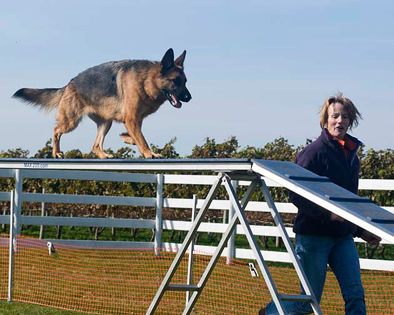 AllfurfunAgility 103010_0150