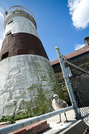 ExecRocklighthouse_0501