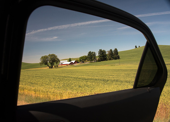 Palouse 2_061715_0177 copy