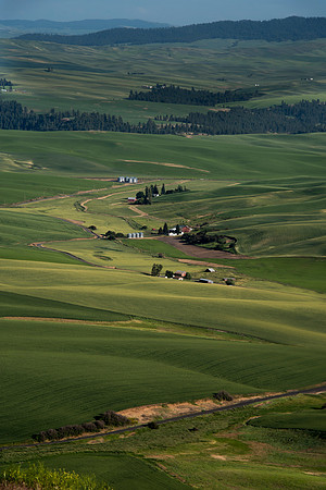 Palouse4_061915_0119