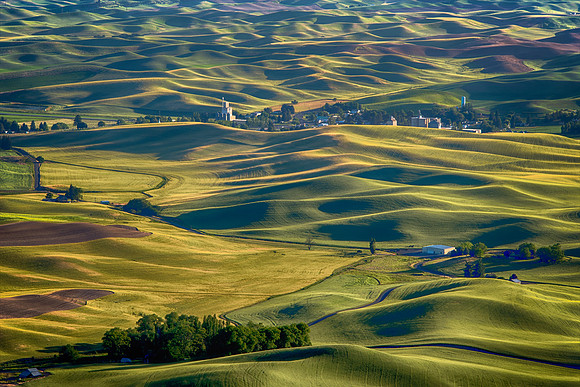 Palouse4_061915_0148