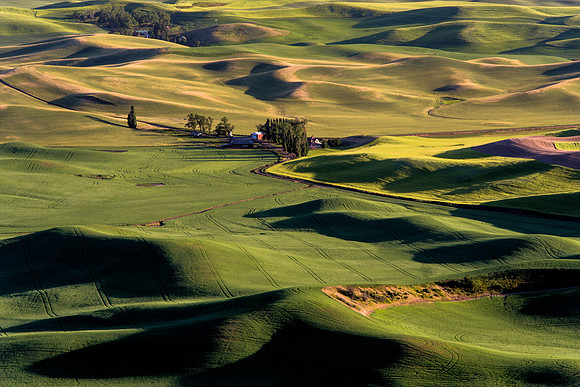 Palouse4_061915_0157