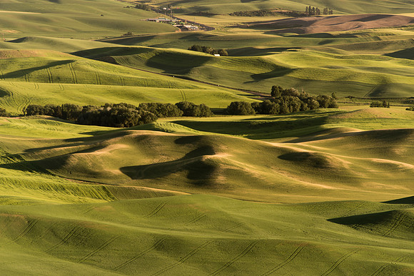 Palouse4_061915_0168