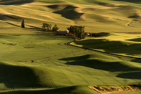 Palouse4_061915_0169