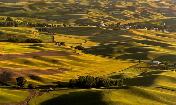 Palouse4_061915_0177