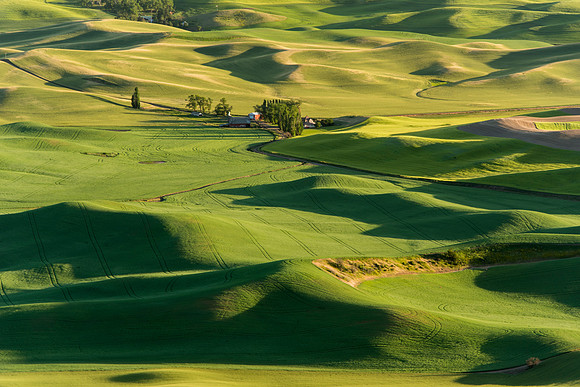 Palouse4_061915_0183
