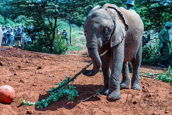 Kenya_Jul212019_3412