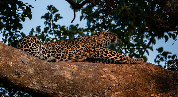 Kenya_Jul272019_5034