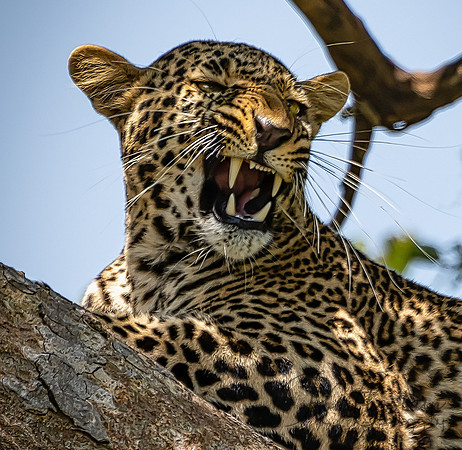 Kenya_Jul272019_4922