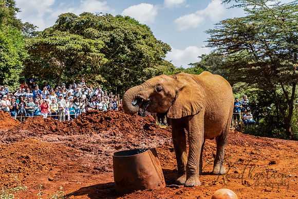 Kenya_Jul212019_3372