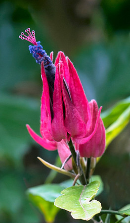 PlantingFields_Apr132013_8053