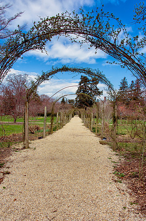 PlantingFields_Apr132013_8088