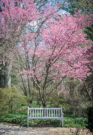 PlantingFields_Apr132013_8102