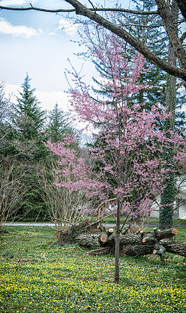 PlantingFields_Apr132013_8110