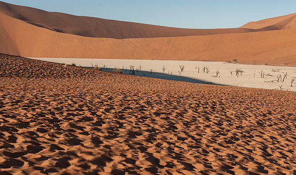 Namibia700_061916_4589