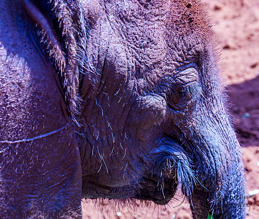 Kenya_Jul212019_3501