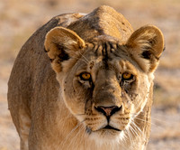 Kenya_072319_1425a