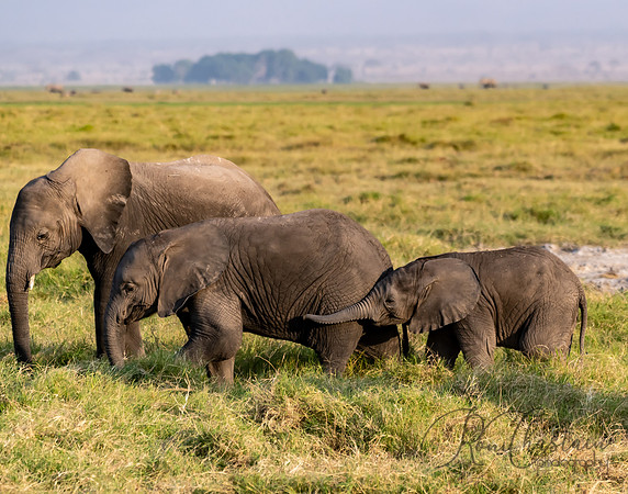 Kenya_Jul232019_1331