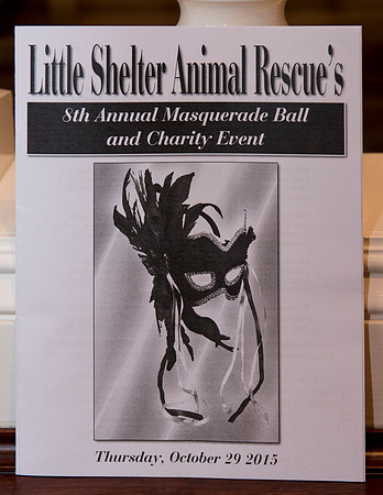 LittleShelter_102915_0027