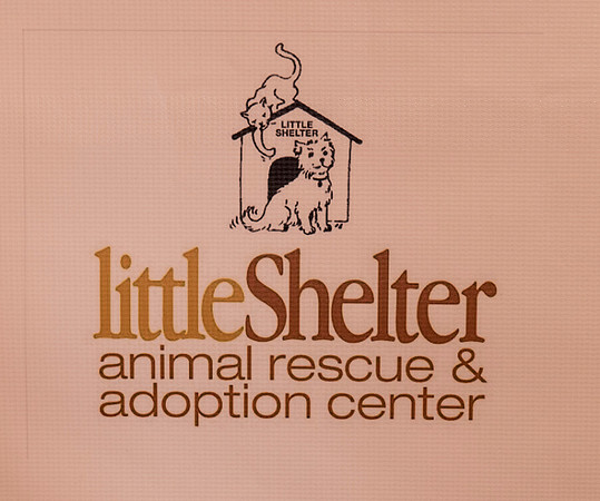LittleShelter_102915_0109