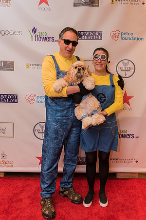 LittleShelter_102915_0141