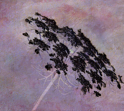 2014-07-31_14-19-50 M=B R=50 S=2