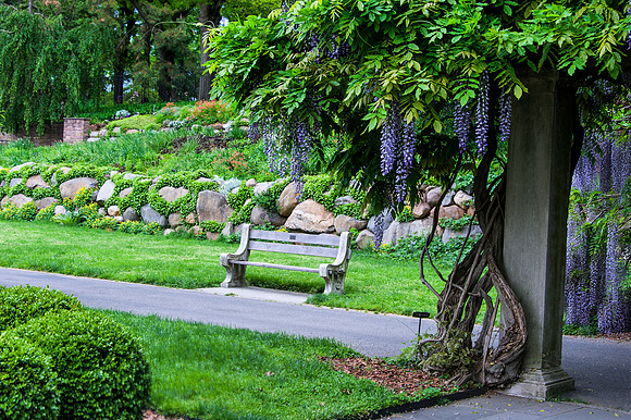 BrooklynBotanicalGrdens_May182013_8948