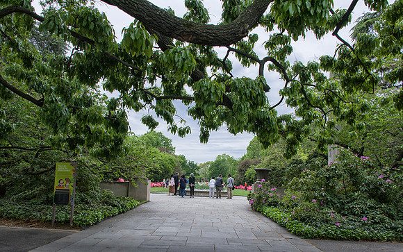 BrooklynBotanicalGrdens_May182013_8939