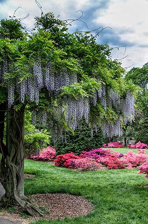 BrooklynBotanicalGrdens_May182013_8961