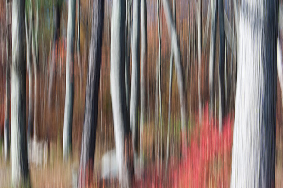 PEEC_Oct192013_0325