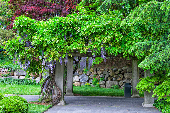 BrooklynBotanicalGrdens_May182013_8946
