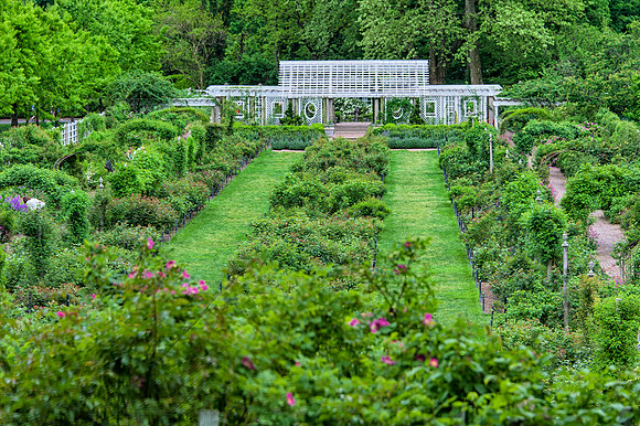 BrooklynBotanicalGrdens_May182013_8969