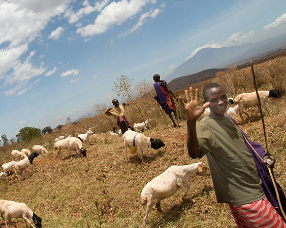 africa 09_7708