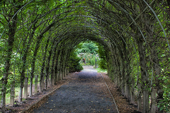 SnugHarbor_Jul212013_0011