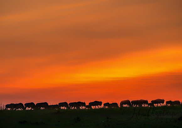 Kenya_Jul272019_5080