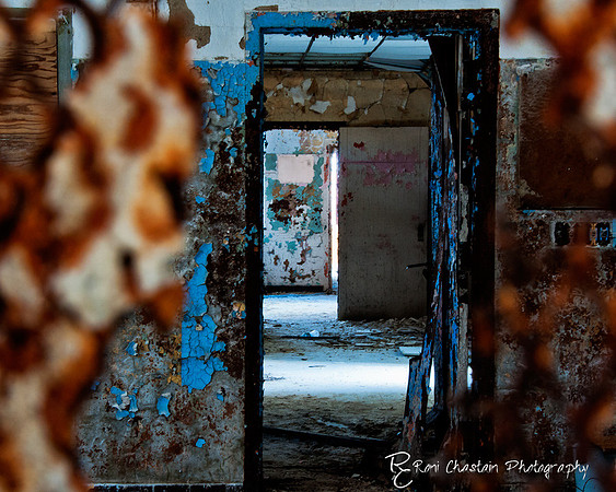 KingsPark_Dec312011_7126