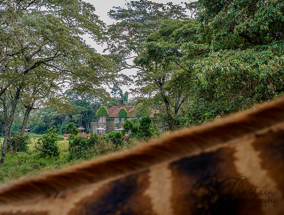 Kenya_Jul212019_3626