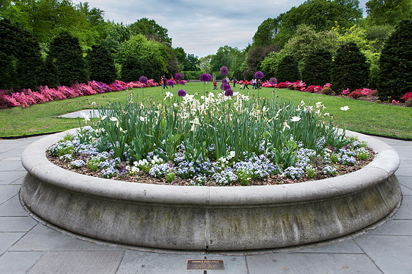 BrooklynBotanicalGrdens_May182013_8943