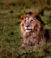 Kenya_Jul252019_6173