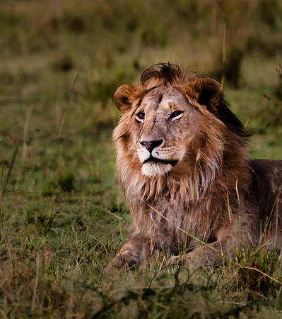 Kenya_Jul252019_6173