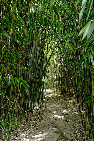 SnugHarbor_Jul202013_0065_DxO